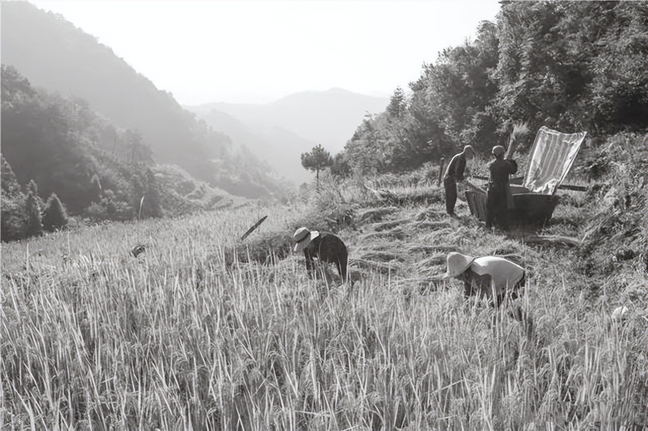 戴笠之子被枪毙真相,戴笠之子戴善武为何被枪毙