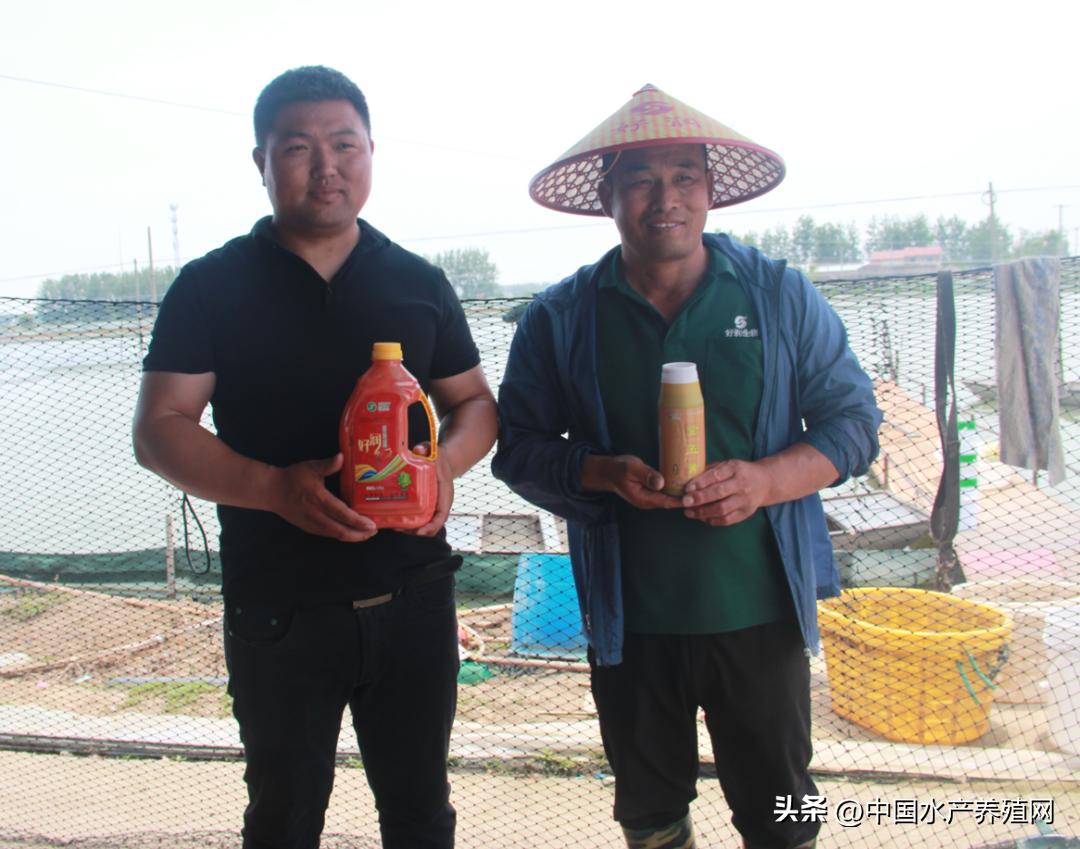 高温死蟹,防止青蟹死亡