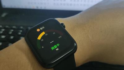 入门级运动手表2022,ticwatch2手表