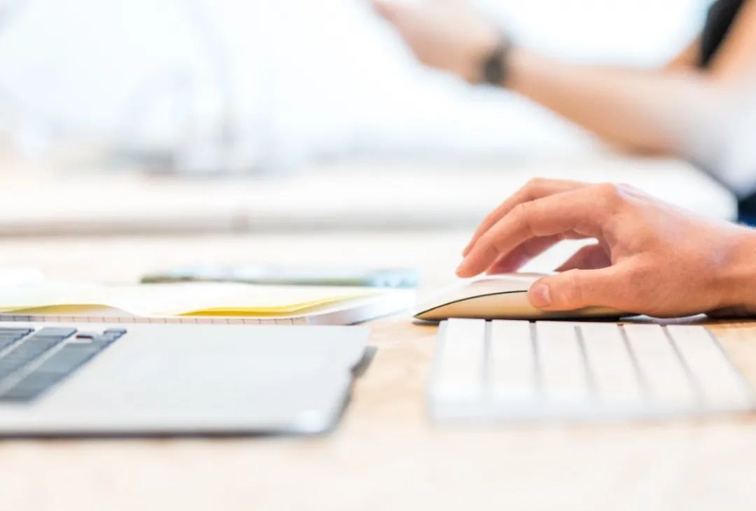 本科申请国际学校有哪些,名校国际本科