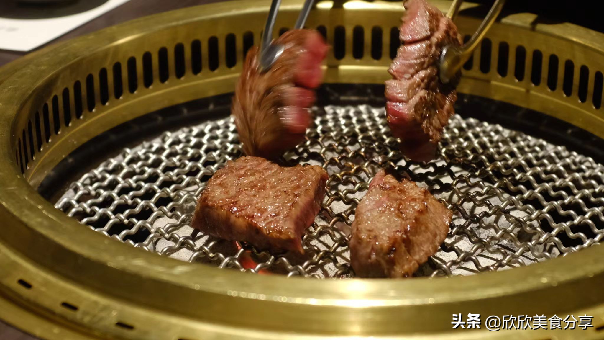 餐厅春菜上新，网罗山川田野的鲜食滋味