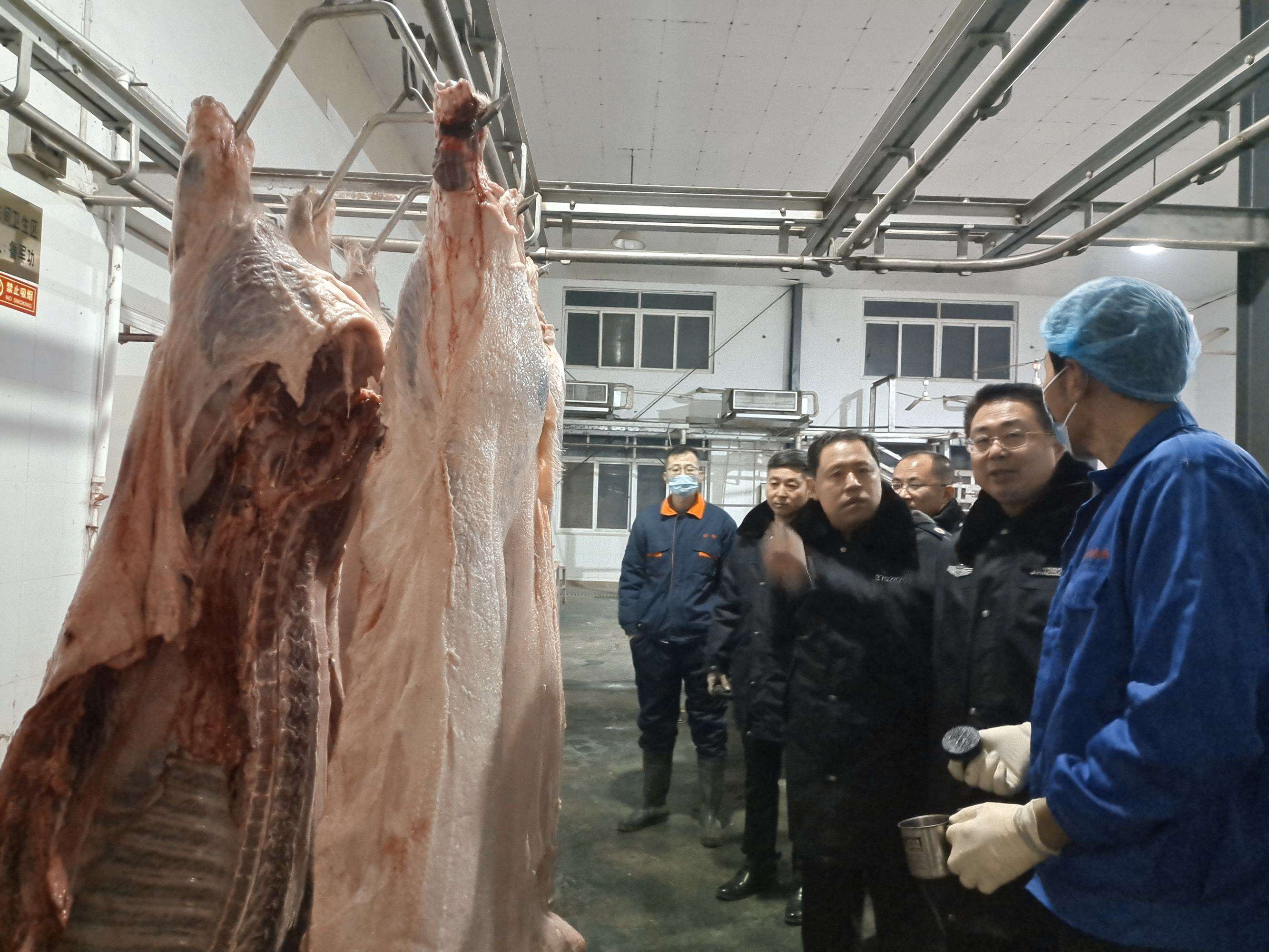 致死率100%！朊病毒无药可救且烹煮杀不死，感染后会有多恐怖？