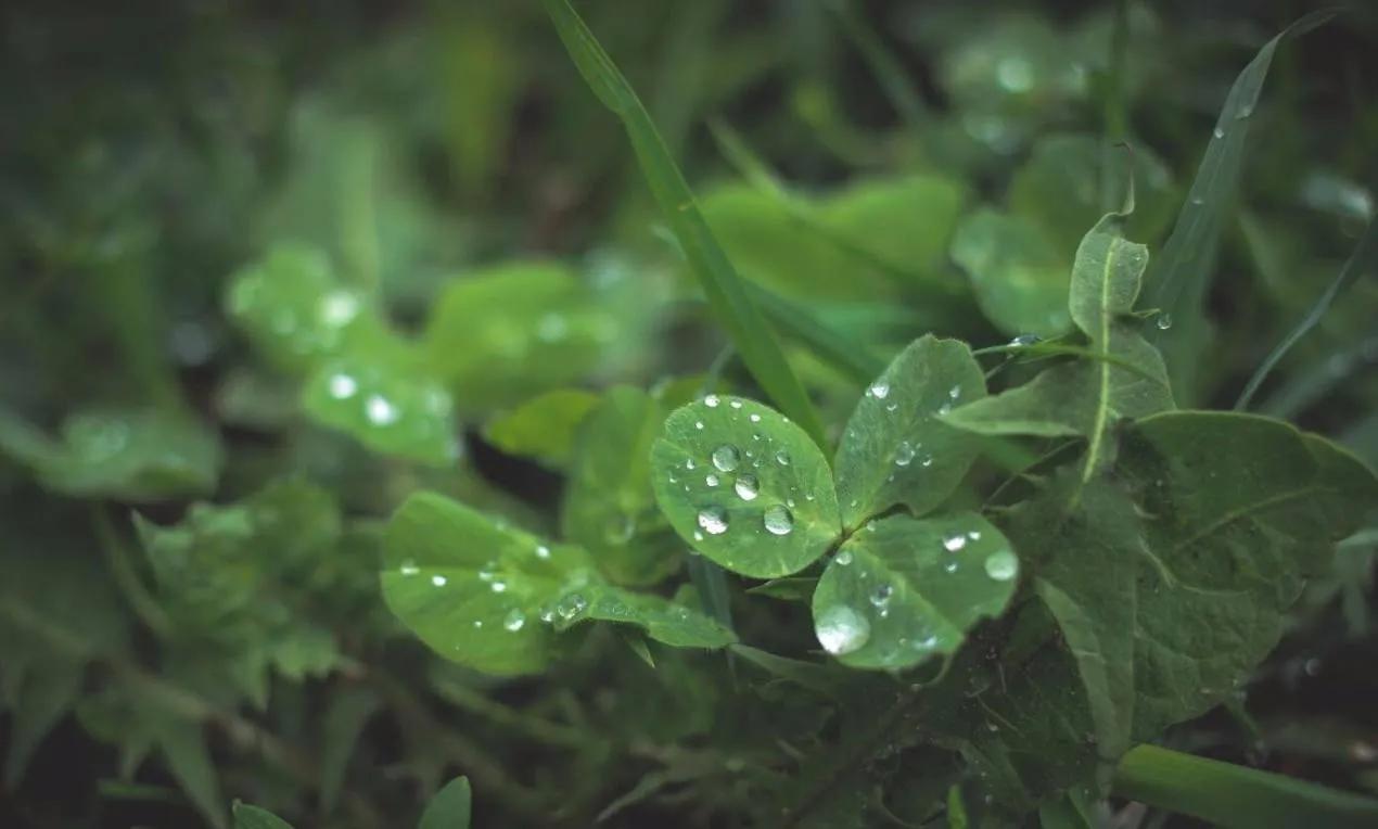 活着就有希望完整版,活着需要勇气活着就有希望