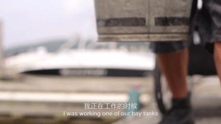 他得了什么病,他得的什么病