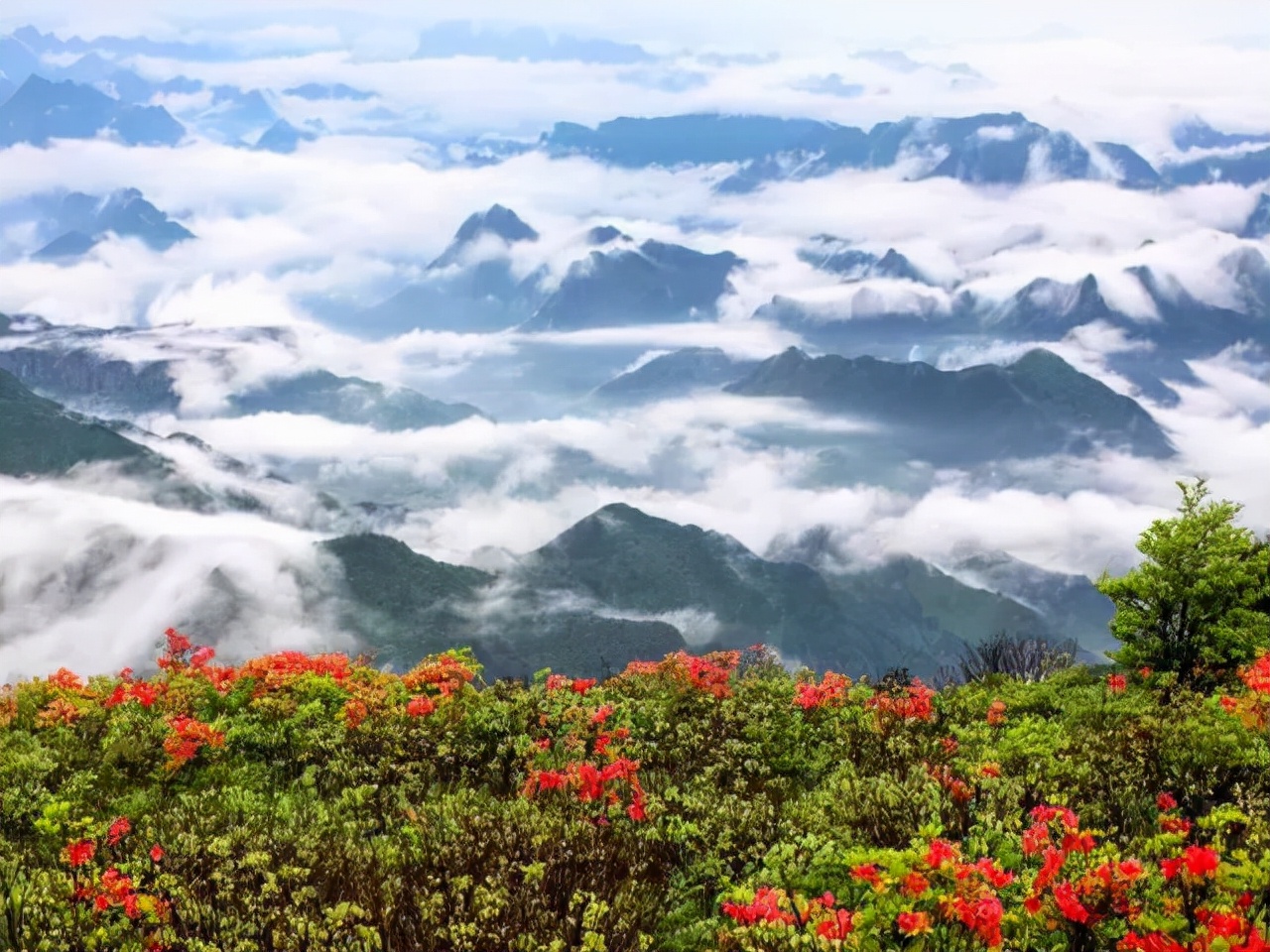 一生必去的村落,仙居公盂古村