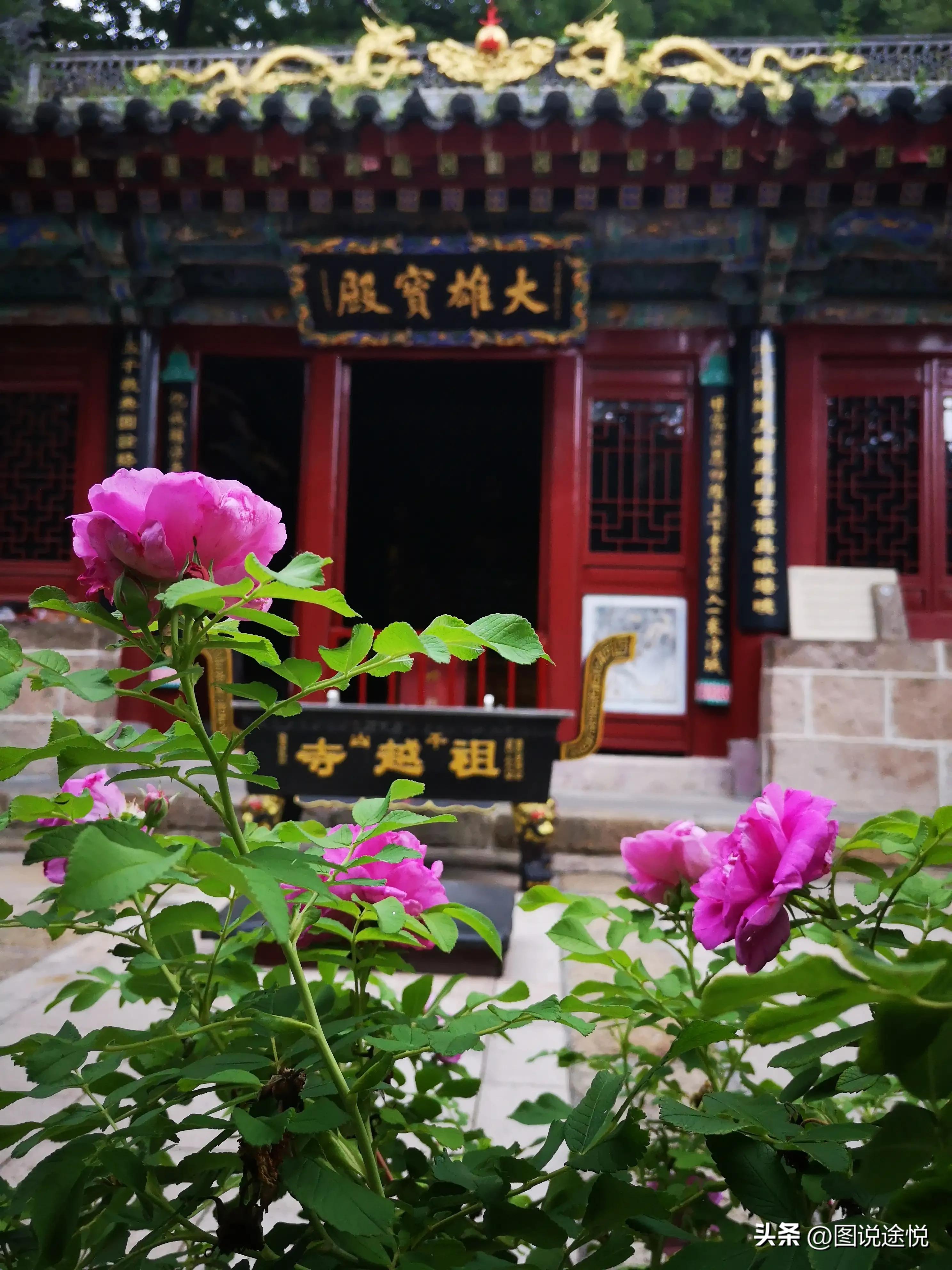 康熙时期皇家寺院,康熙王朝康熙得了天花片段