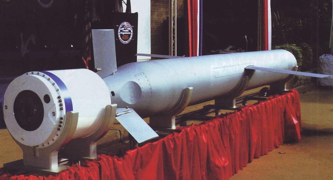 用中国武器打赢战争的国家,使用中国战术的美军部队