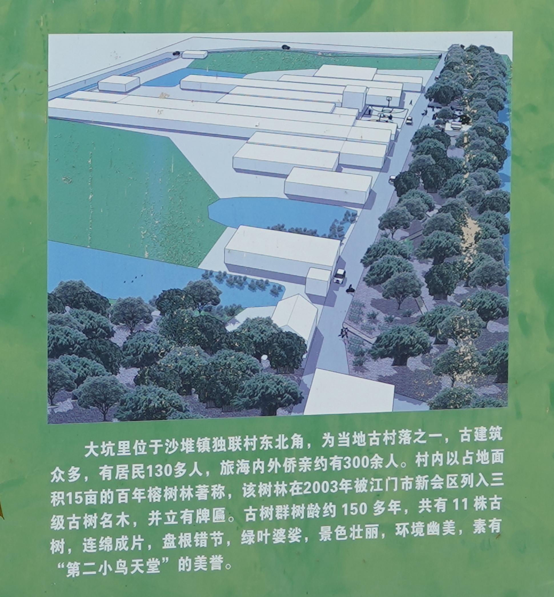 江门新会旅游景点小鸟的天堂,新会小鸟天堂历史记录