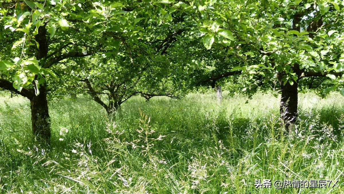 读经典品百味人生,读经典语录悟坎坷人生