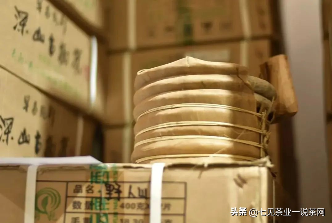 春季女性喝什么茶最养生,女性补气血喝什么茶最好