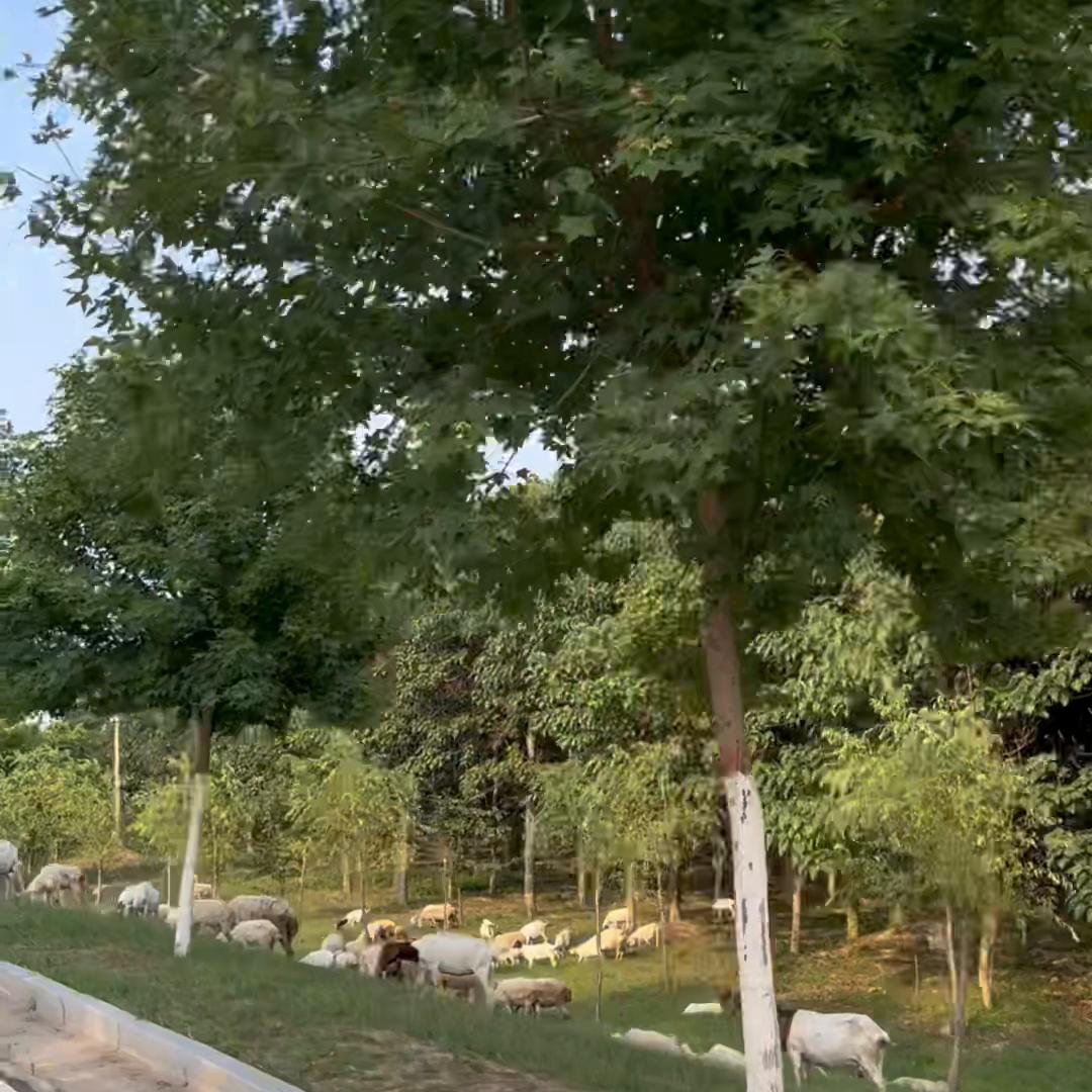 dou热门回顾,dou热门内容