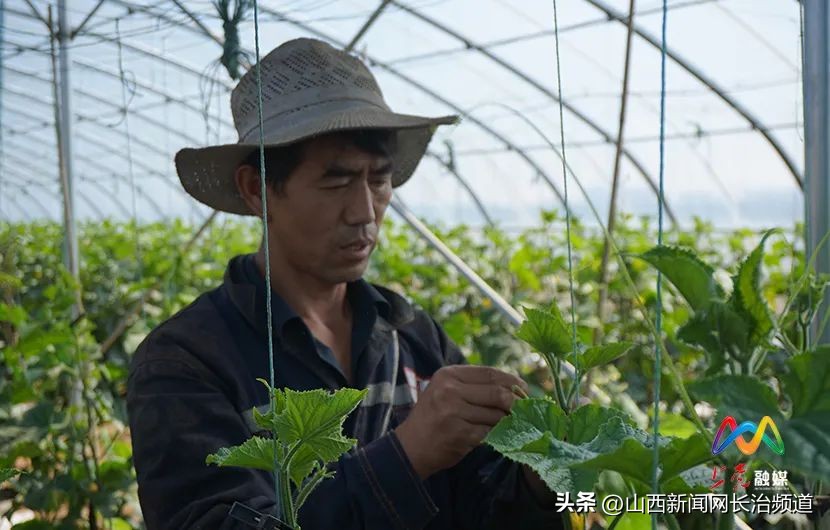 乡村振兴示范村主任,上党区郝家庄乡西下郝村