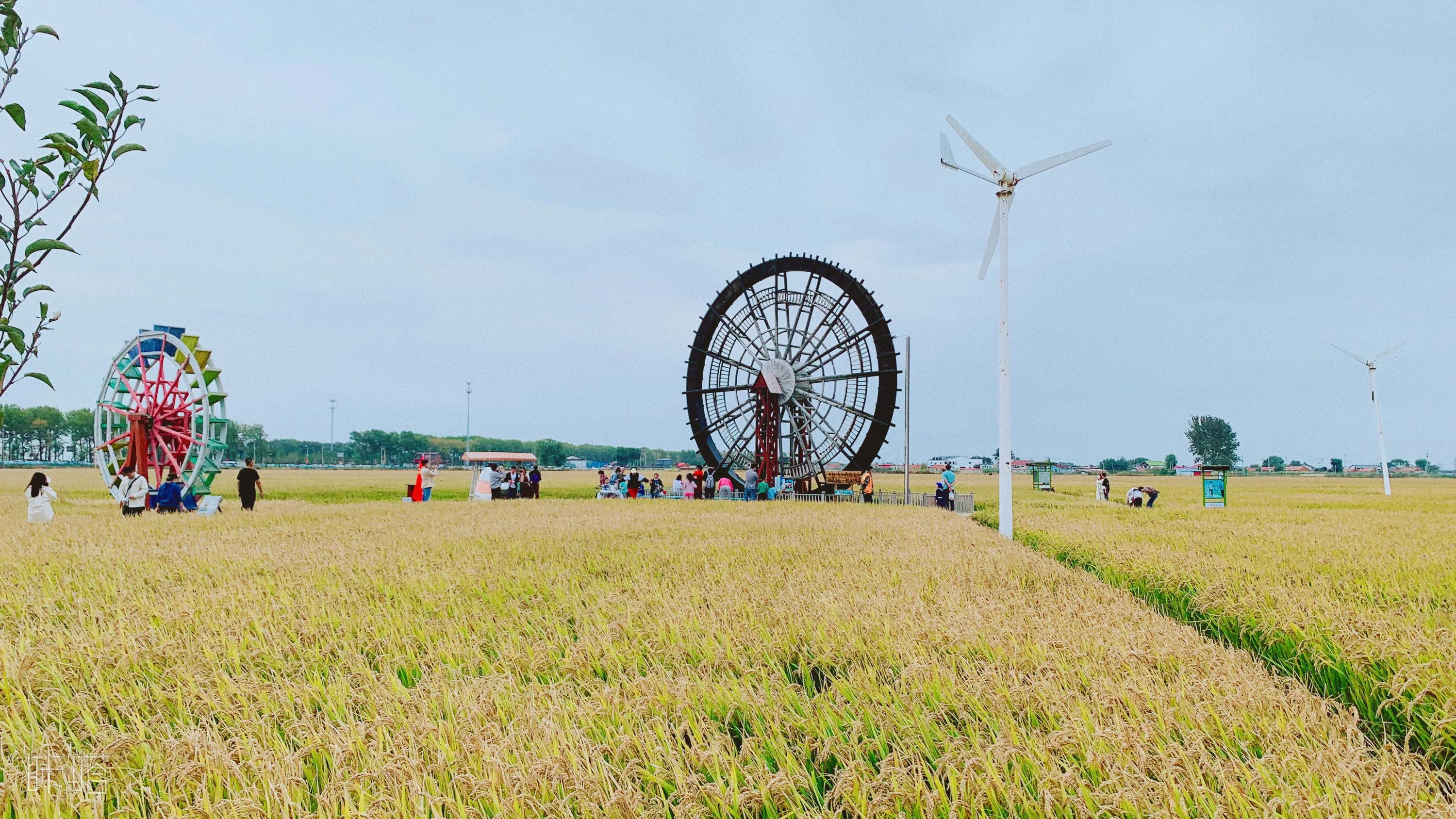 沈阳旅游景点稻梦空间,沈阳稻梦空间一日游攻略
