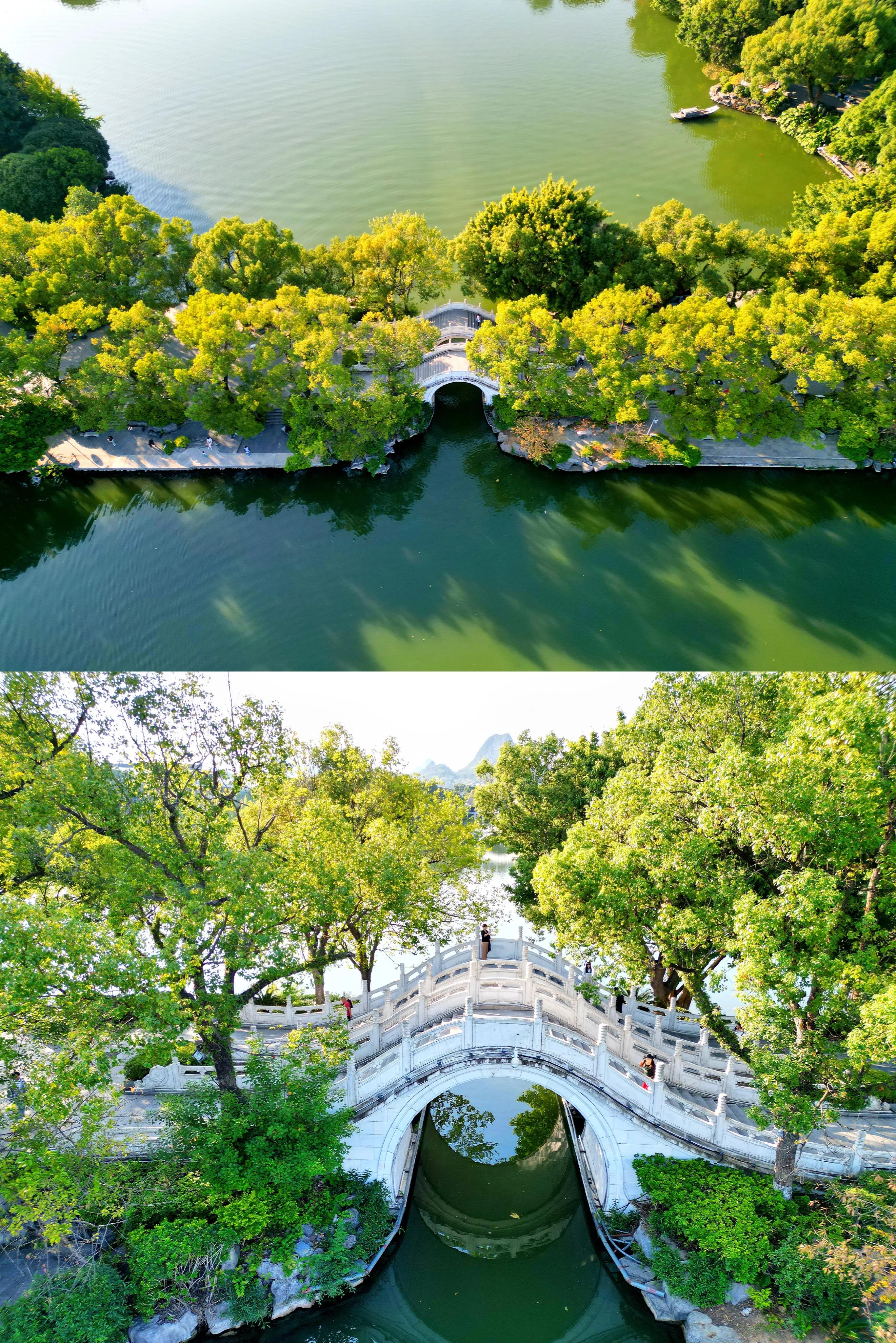 桂林榕湖之旅,春天桂林榕湖旅游攻略