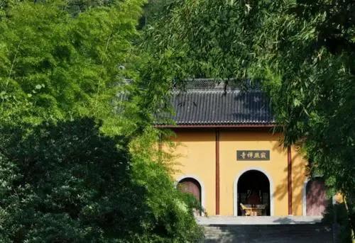 宜兴竹海购票政策,宜兴竹海玻璃栈道