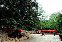 【延边文旅项目招商月】州庆70年延边文旅项目欢迎投资——长白山森工集团甑峰岭森林康养基地项目