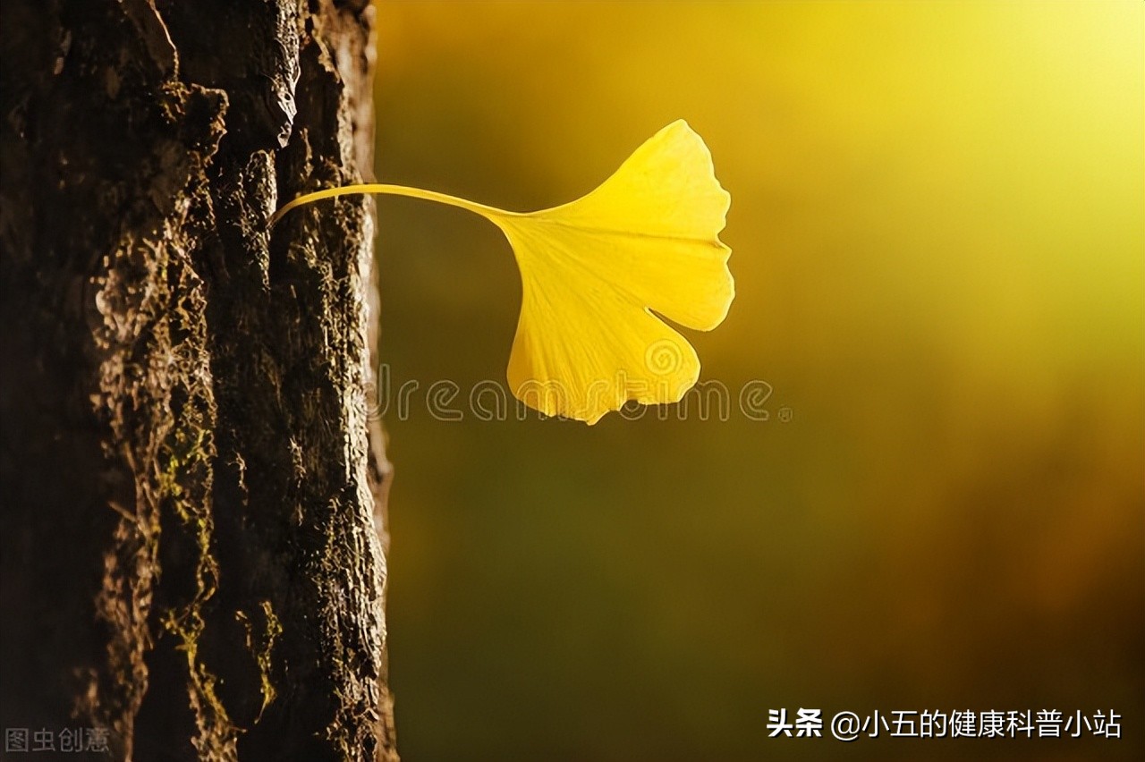 活血化瘀冠心病,冠心病人能吃心脑宁胶囊吗