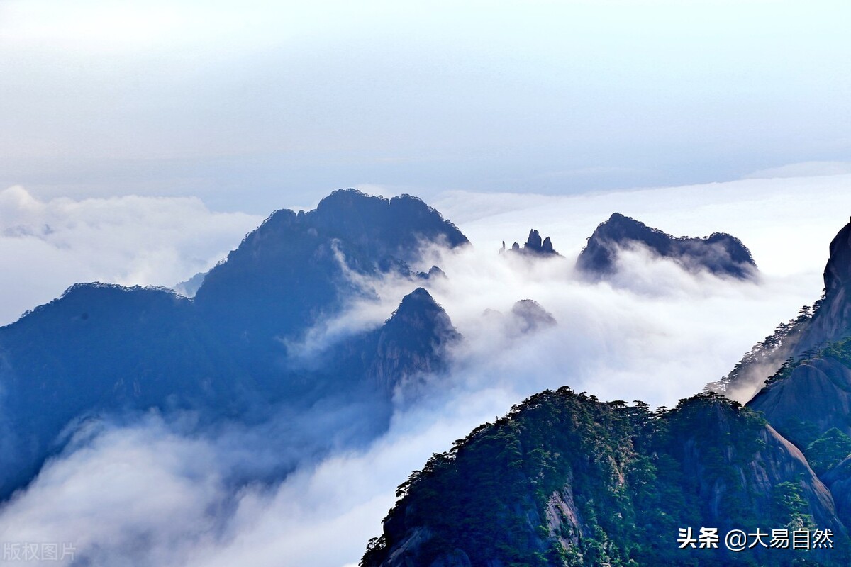 傅佩荣道德经第六十一章讲解,金豆讲道德经第六十一章