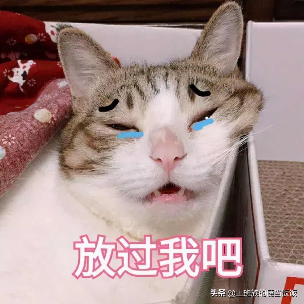 鑷埗閲庡鏃犵儫鐑х儰鐐夊叿,鑷埗鏃犵儫鐑х儰