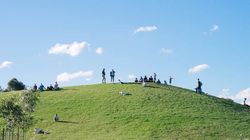 好玩的自由建造动物园游戏,狂野大自然游戏