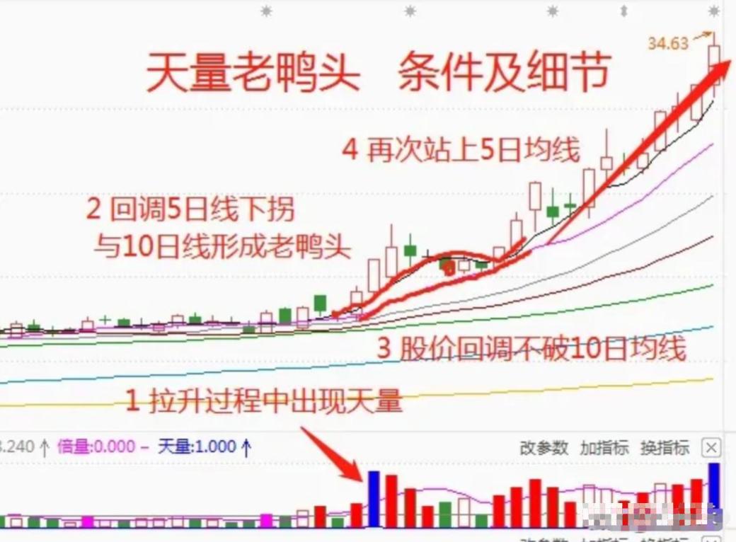 股票投资真的可以实现财富自由吗,股票投资到底什么样的人才能成功