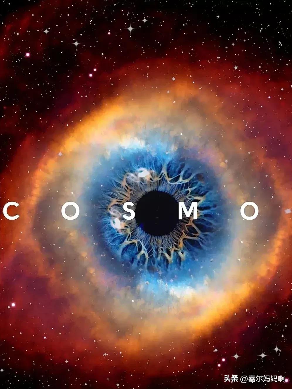 孩子必看十部人文纪录片,值得陪孩子看的30部宝藏纪录片