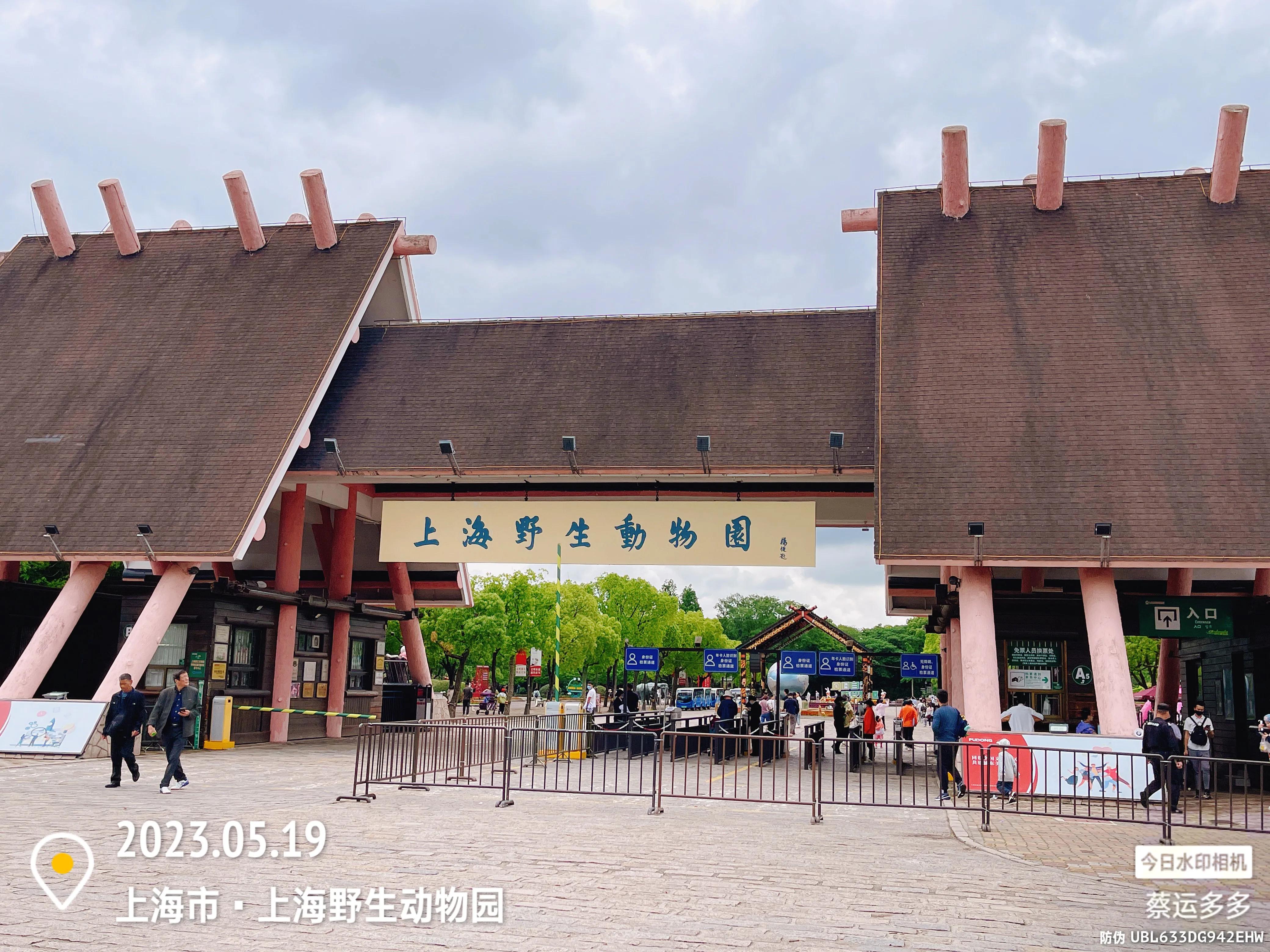 我喜爱的动物是小猫,什么动物招人喜爱