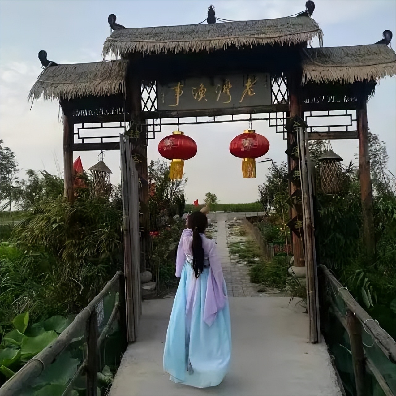 德喜黑青稞藏酒,德喜偷菜