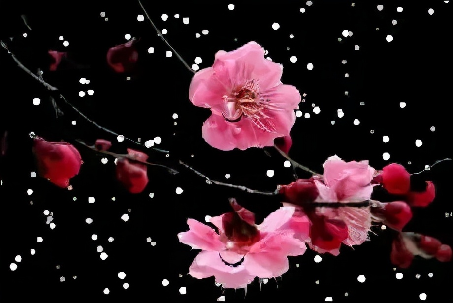 李商隐10首经典诗词作品集,李商隐最有名的20首诗及解释