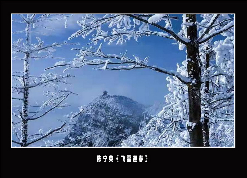 “喜迎*党**的二十大，巾帼老兵抒豪情”诗书画摄影电脑作品展