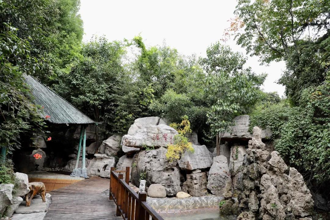 新盈泰温泉度假村娱乐设施,新盈泰温泉美食