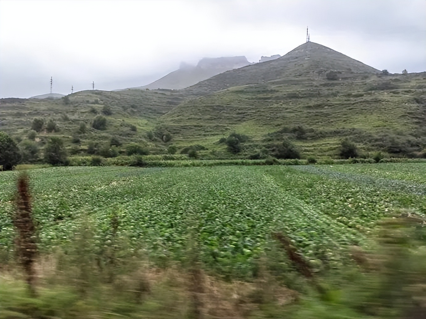 灏忓ぉ灞遍夯鐢板箔鏅尯鍦ㄥ摢,楹荤敯宀皬澶╁北鐢ㄩ绾﹀悧