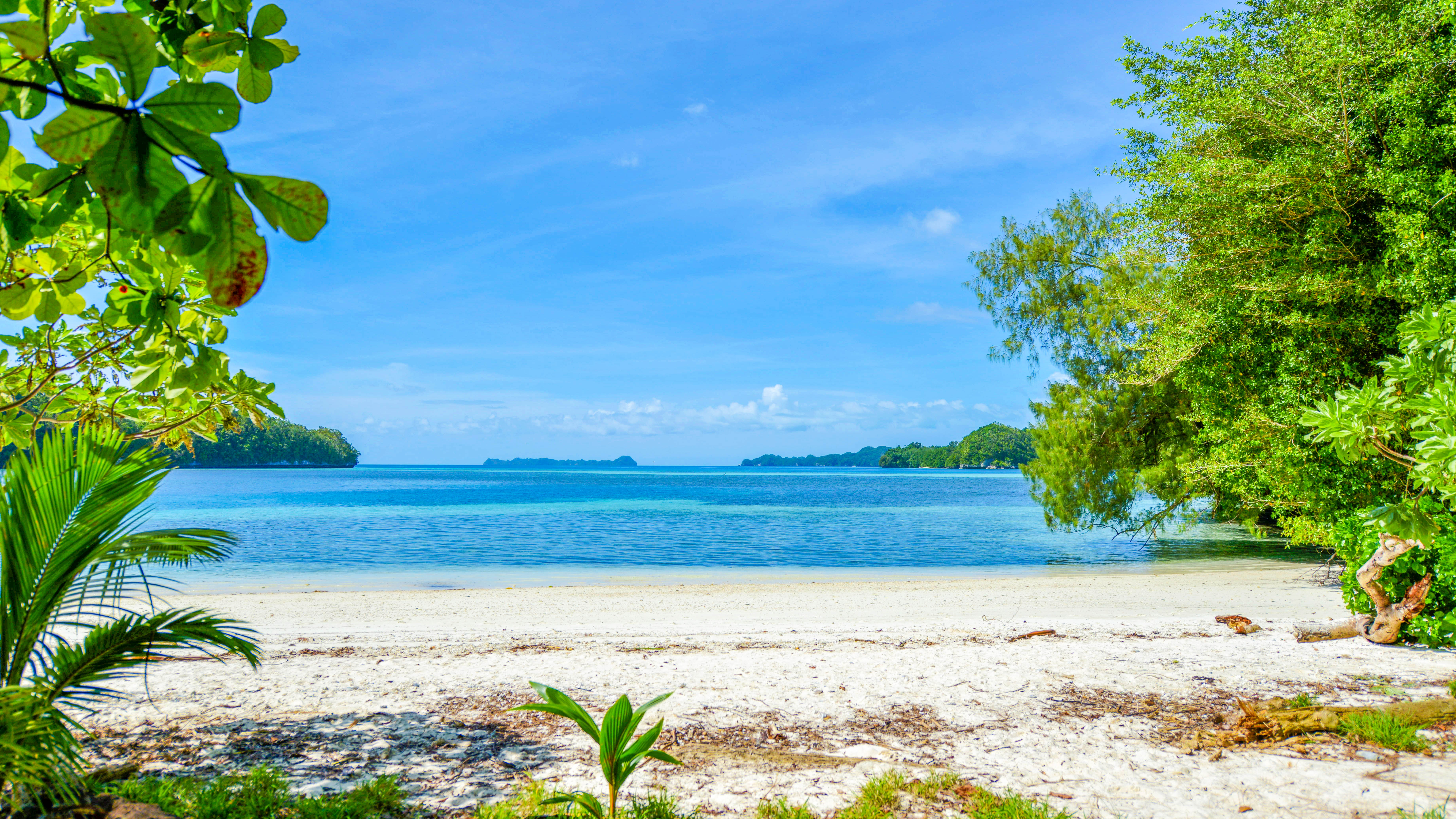 孤悬在太平洋上的岛国，帕劳，人生最值得一去的旅游目的地之一