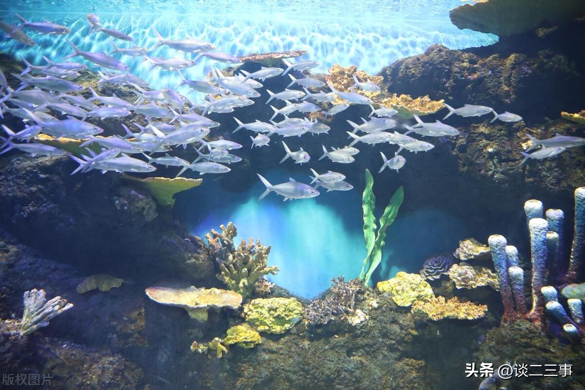 上海法租界十大必去景点图片,上海十大网红打卡景点