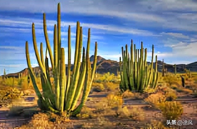 洛杉矶到东谷,洛杉矶最新旅行个人体验