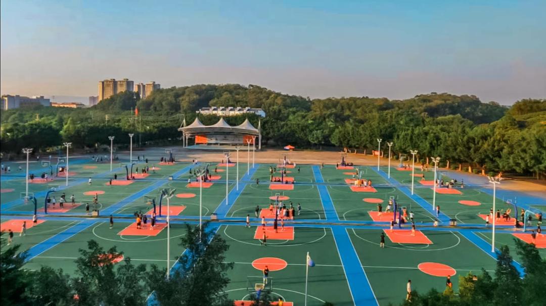 心动警报采访,心动预警作品