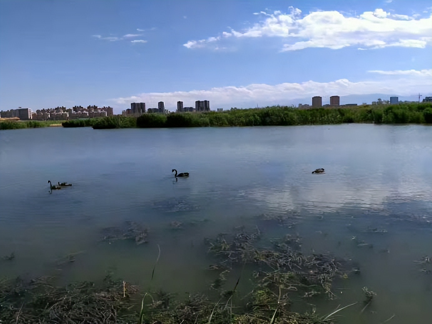 六千里路父与子，一路风尘一路歌---乌鲁木齐到成都骑行日记