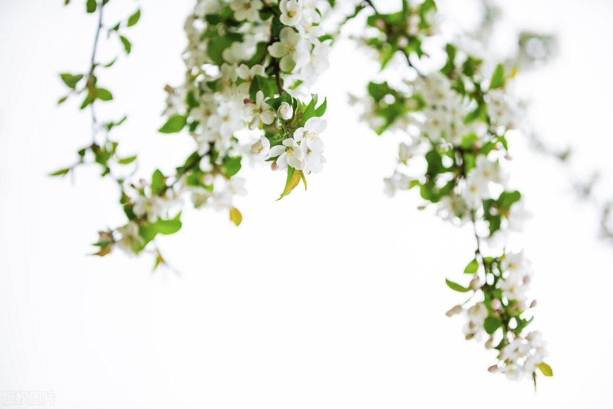 安徽女子每晚与23岁弟弟同睡姐姐至今不结婚：我要和弟弟过一辈子