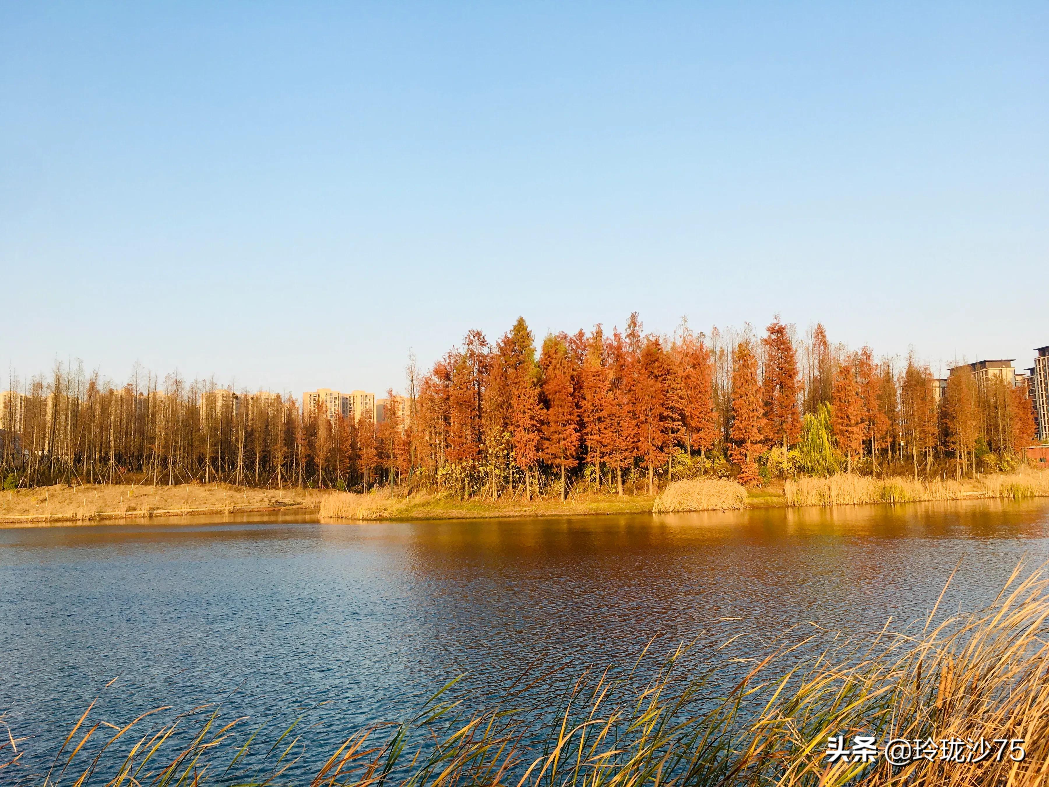 长沙风景美丽的篮球场,长沙王陵公园生态足球场