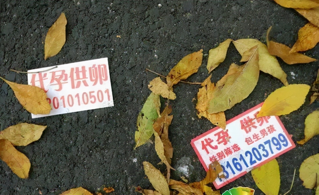 21岁女大学生被骗有偿捐卵，学历高长相好，最高一次3万！医生：恐无法生育致一生缺陷