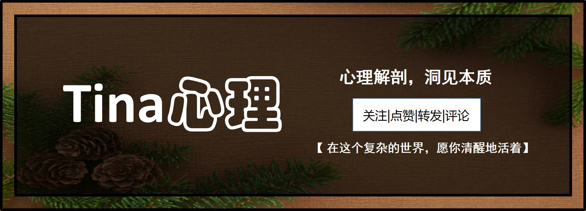 【做赚钱的自媒体IP系列】能赚钱的成长型博主怎么做？