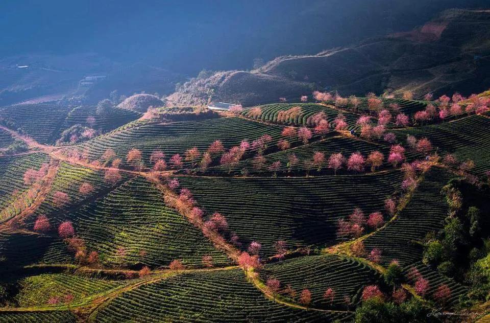 越南老街沙巴旅游景区,越南老街沙巴的村落