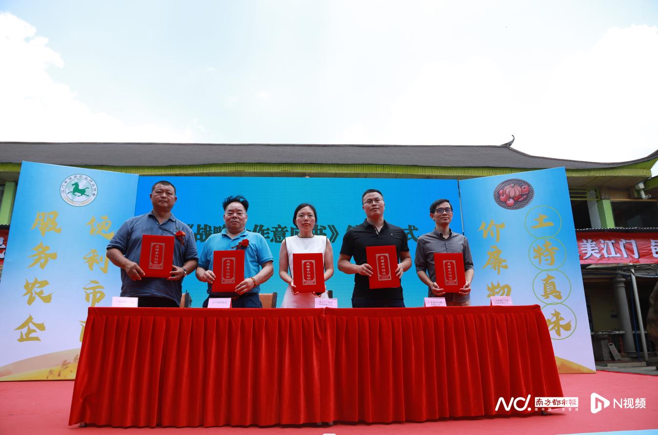 辛巴辛有志直播助农有妙招,江门这款助农数据平台启动