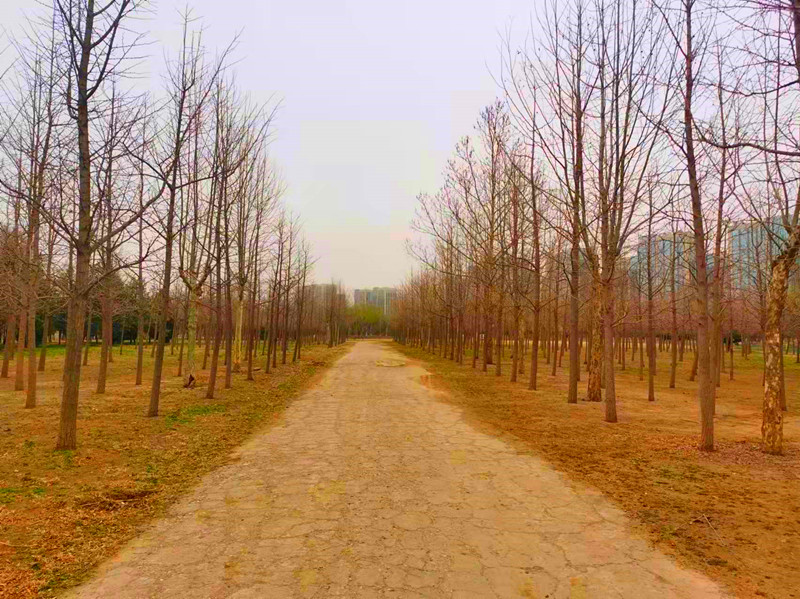 地铁达道附近有公园吗,地铁直达的昆明湿地公园