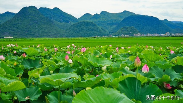 云南10个神奇景点攻略,云南丽江打卡必去景点