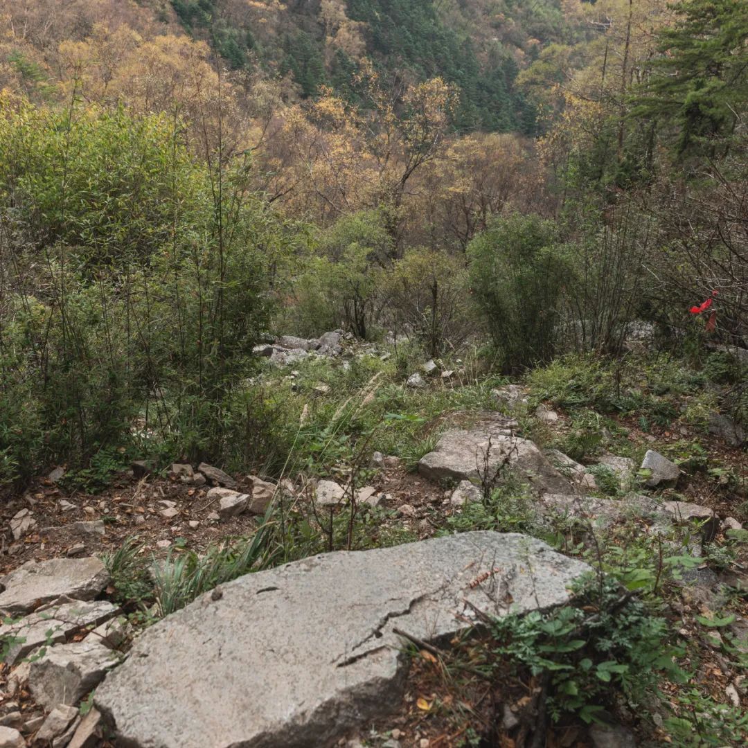 登太白山感受,太白山景区登顶拔仙台