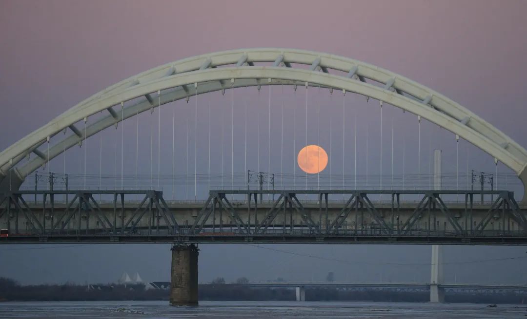 为啥今年兔年有384天,兔年384天的坏处有哪些