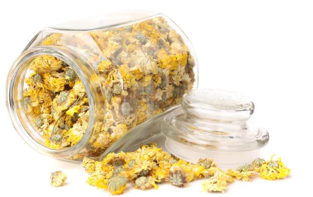 不瞒你说菊花有五类人不宜喝,菊花三种人不宜喝