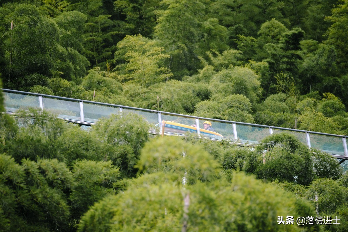 安吉一天玩水旅游攻略,安吉一日游最佳攻略露营