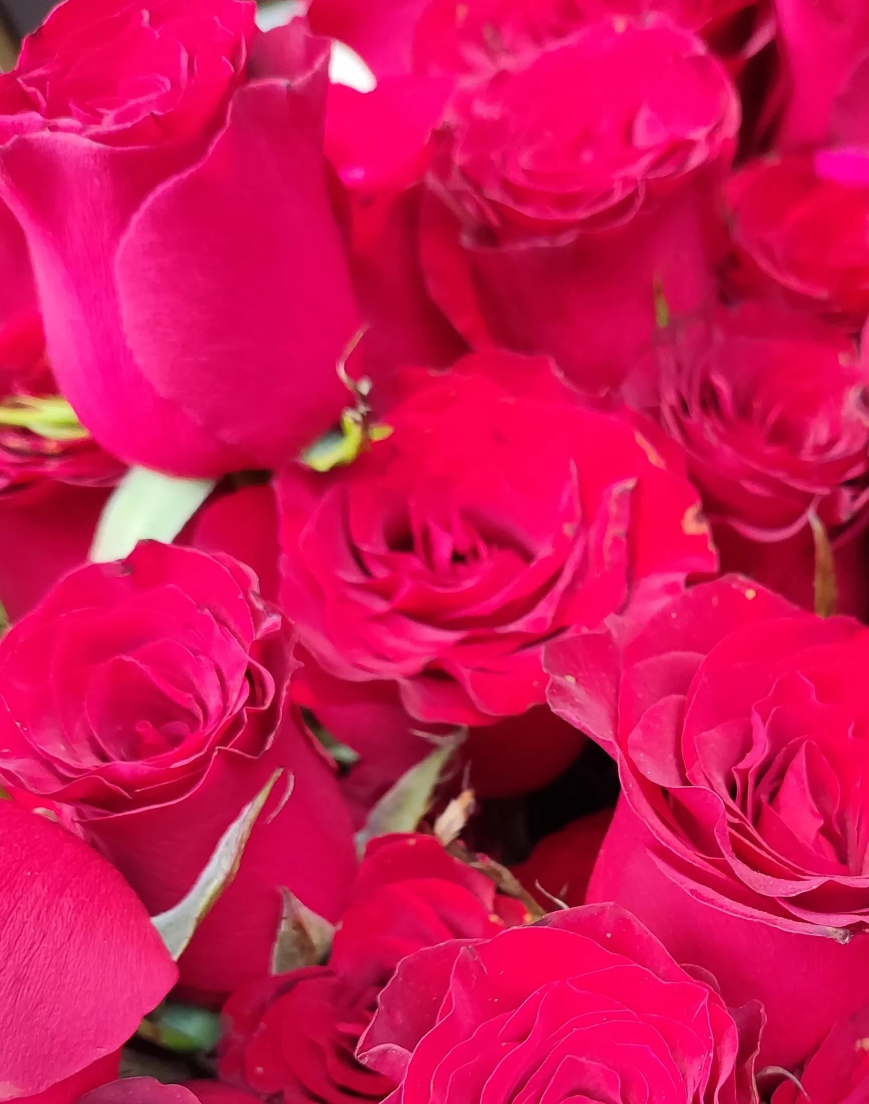 人活着就是要一种好心态才会开心,其实人活的正确方式开心就好